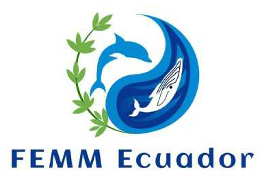 FEMM-Ecuador